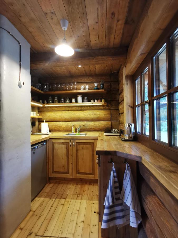 "Gaujmale" Sauna House In Nature Ilkene Exterior photo