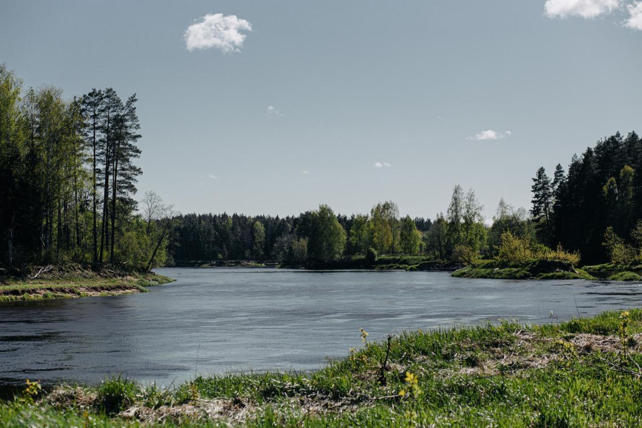 "Gaujmale" Sauna House In Nature Ilkene Exterior photo